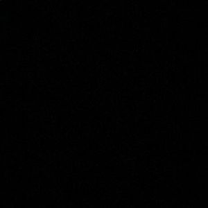 Meet your Posher, Carina